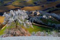 396 - ICE RAIN - GABERTHUEL WALTER - italy <div